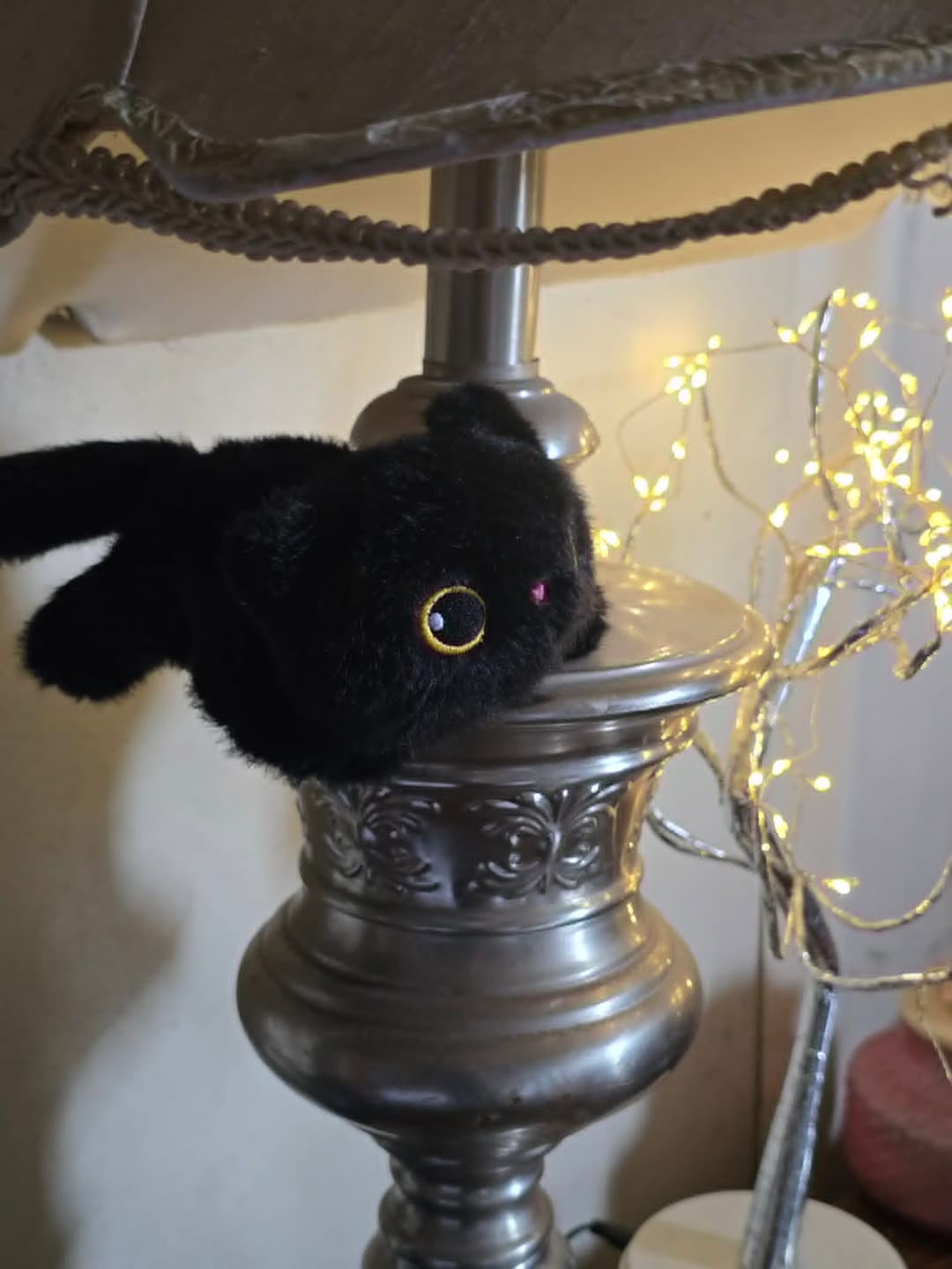 Customer photo review of Peluche Magnético