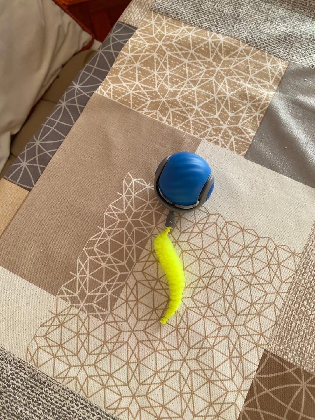 Customer photo review of Pelota interactiva para gatos