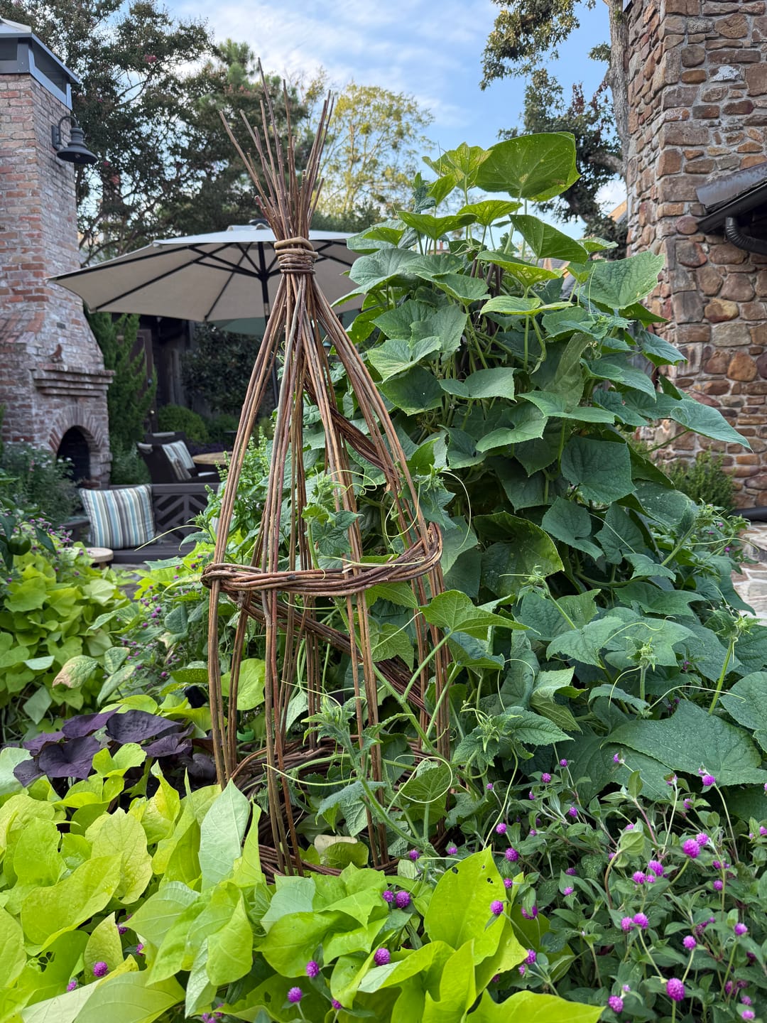 Customer photo review of The Willow Plant Support (3.8 Feet Tall)