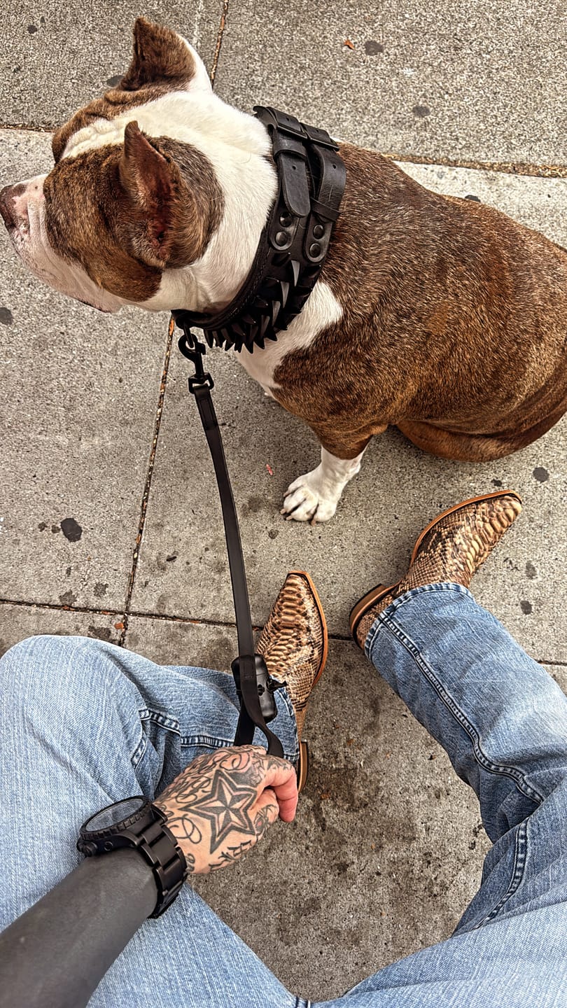 Customer photo review of Men's Exotic & Lamb Western Boots