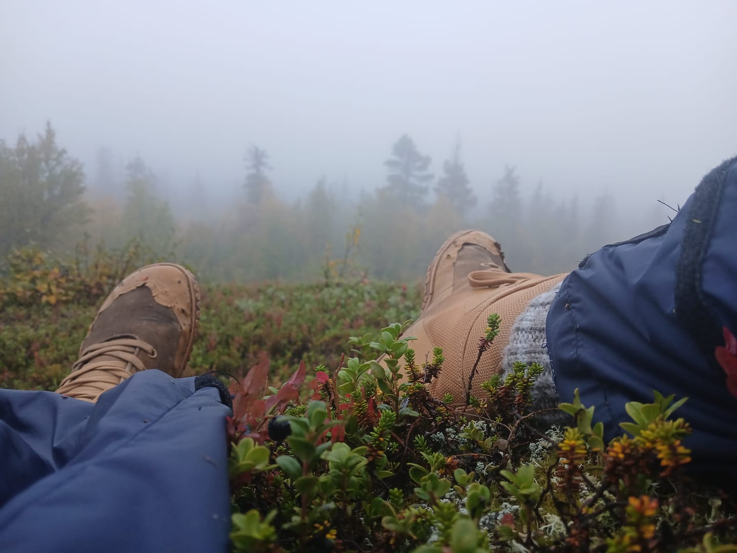 Customer photo review of Vaistoa Tuohi 2 -paljasjalkaretkeilykengät