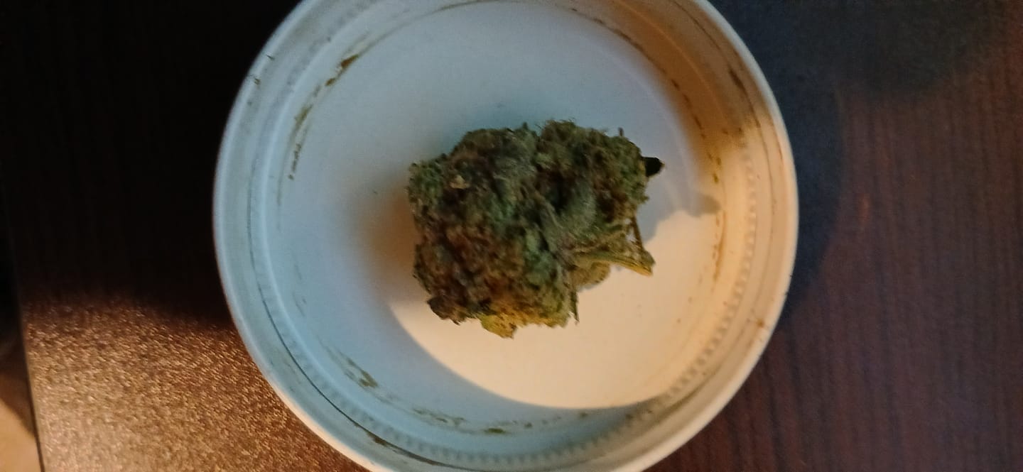 Customer photo review of Biscotti THCA Flower (Premium)