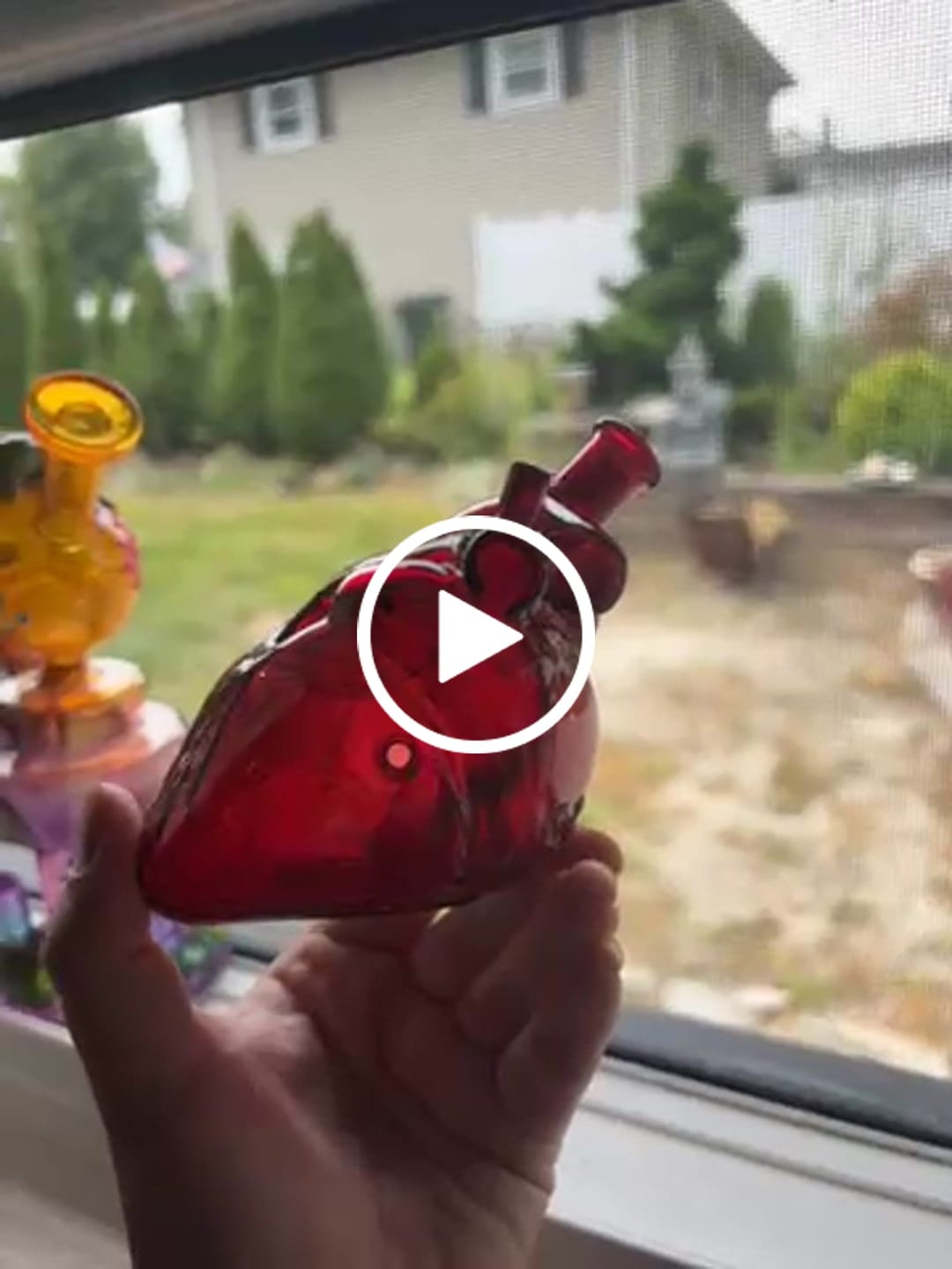 Customer video review of ANATOMICAL HEART PIPE