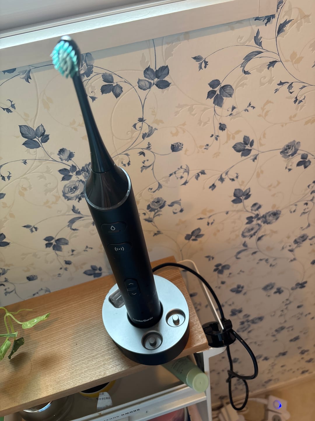 Customer photo review of 【単品で買うより2,000円お得】Water Sonic フルセット  口腔洗浄器と音波振動の同時使用 ウォーターソニック