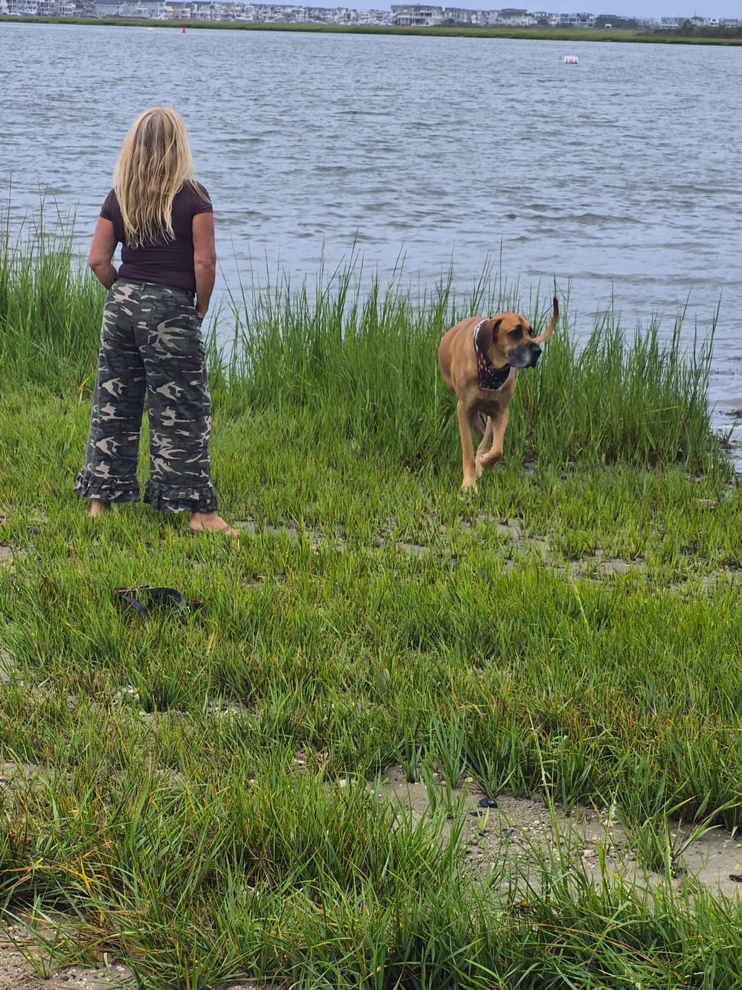 Customer photo review of Outlaw Ruffle Washed Camo Wide Leg Denim