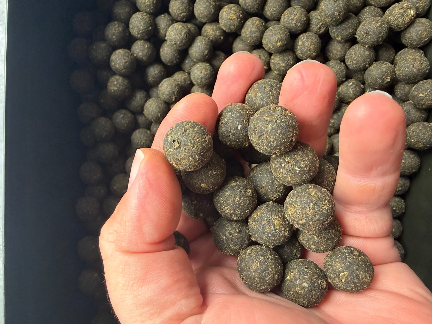 Customer photo review of Frenzy Krill Boilies (5kg)