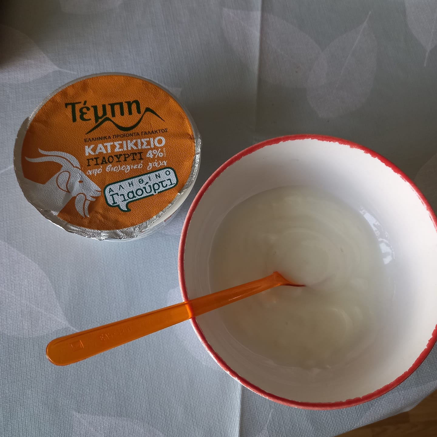 Customer photo review of Organic Traditional Greek Goat Yogurt – High Digestibility & Natural Protein (3×220g)