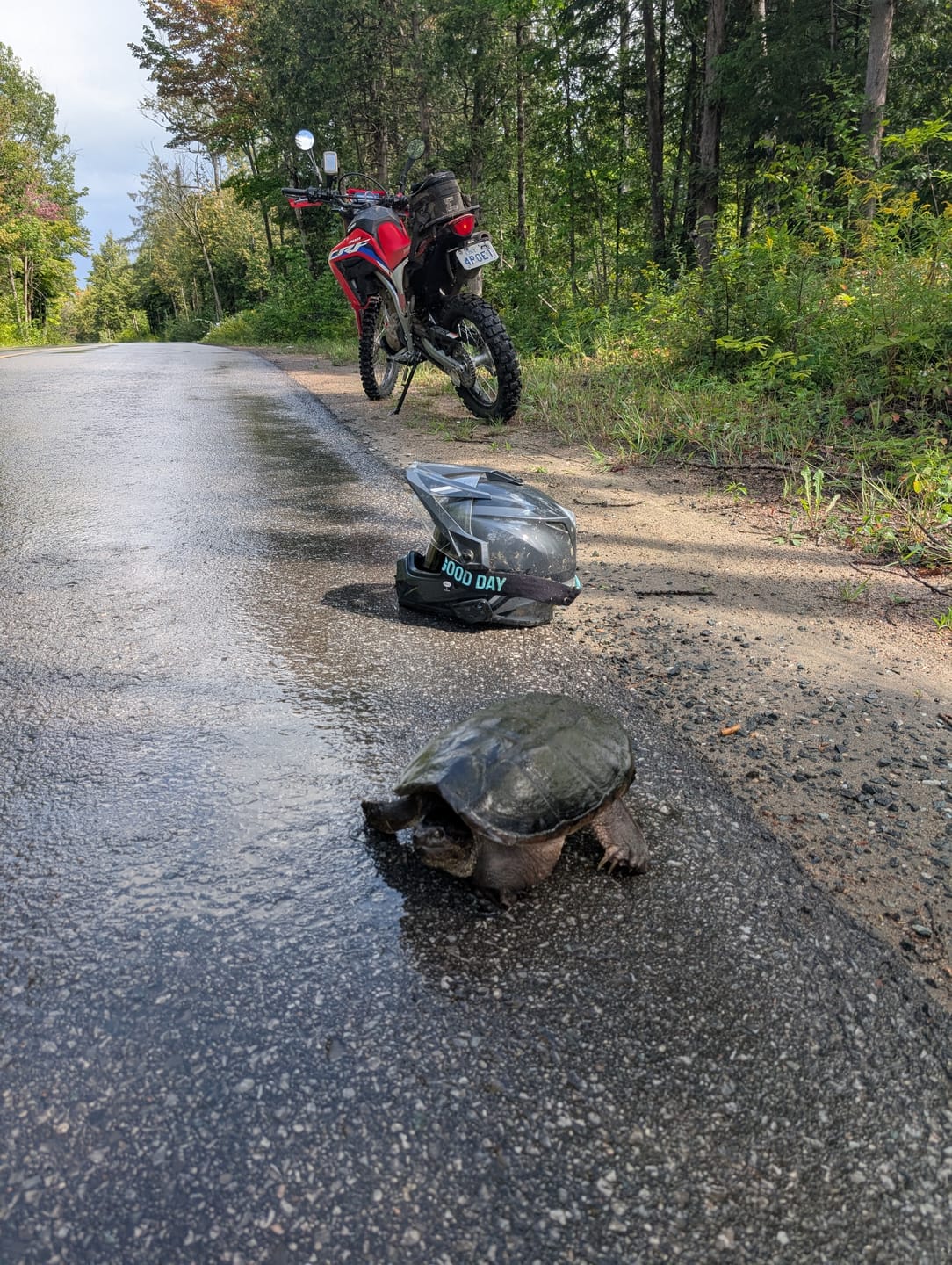 Customer photo review of The Valorie Moto/MTB Goggle - Photochromic Black Lens