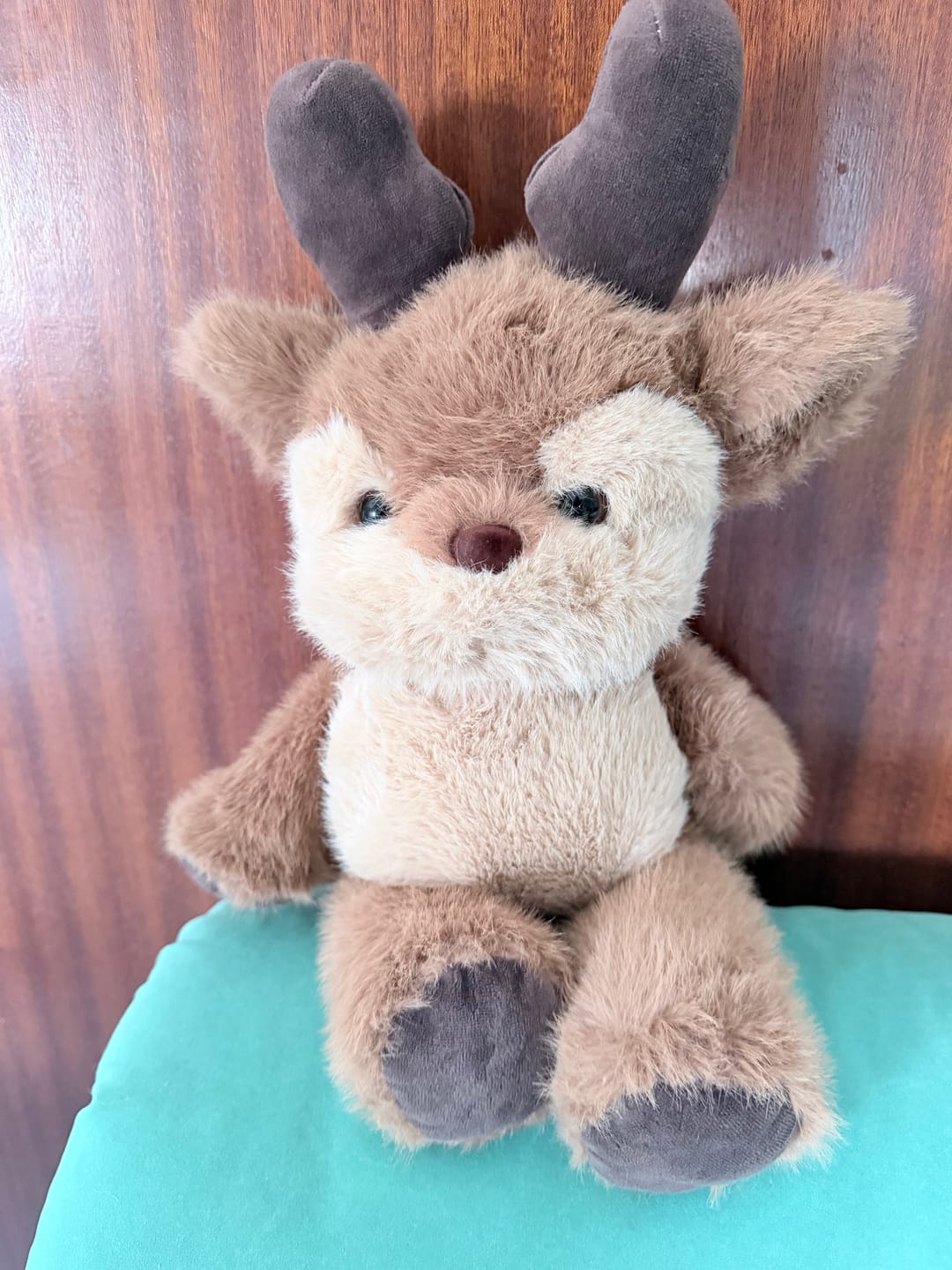 Customer photo review of KokoRun el cervatillo que corre a tus brazos