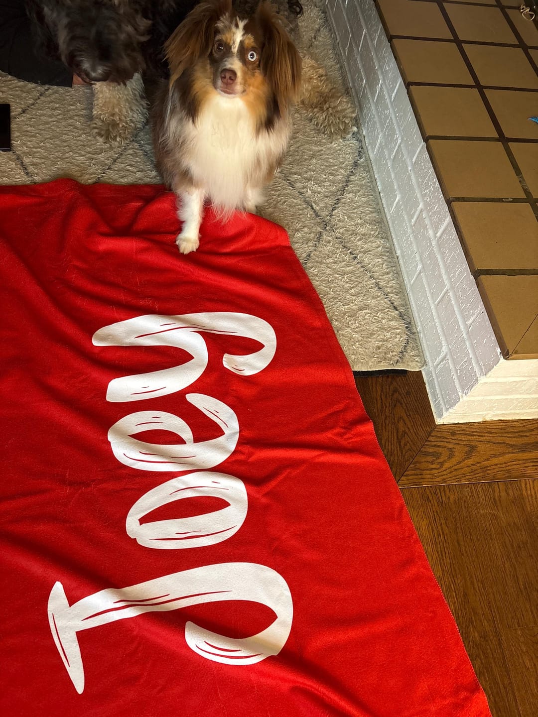 Customer photo review of Personalized Beach Towel: Bold Font Custom Name, Vacation Gift
