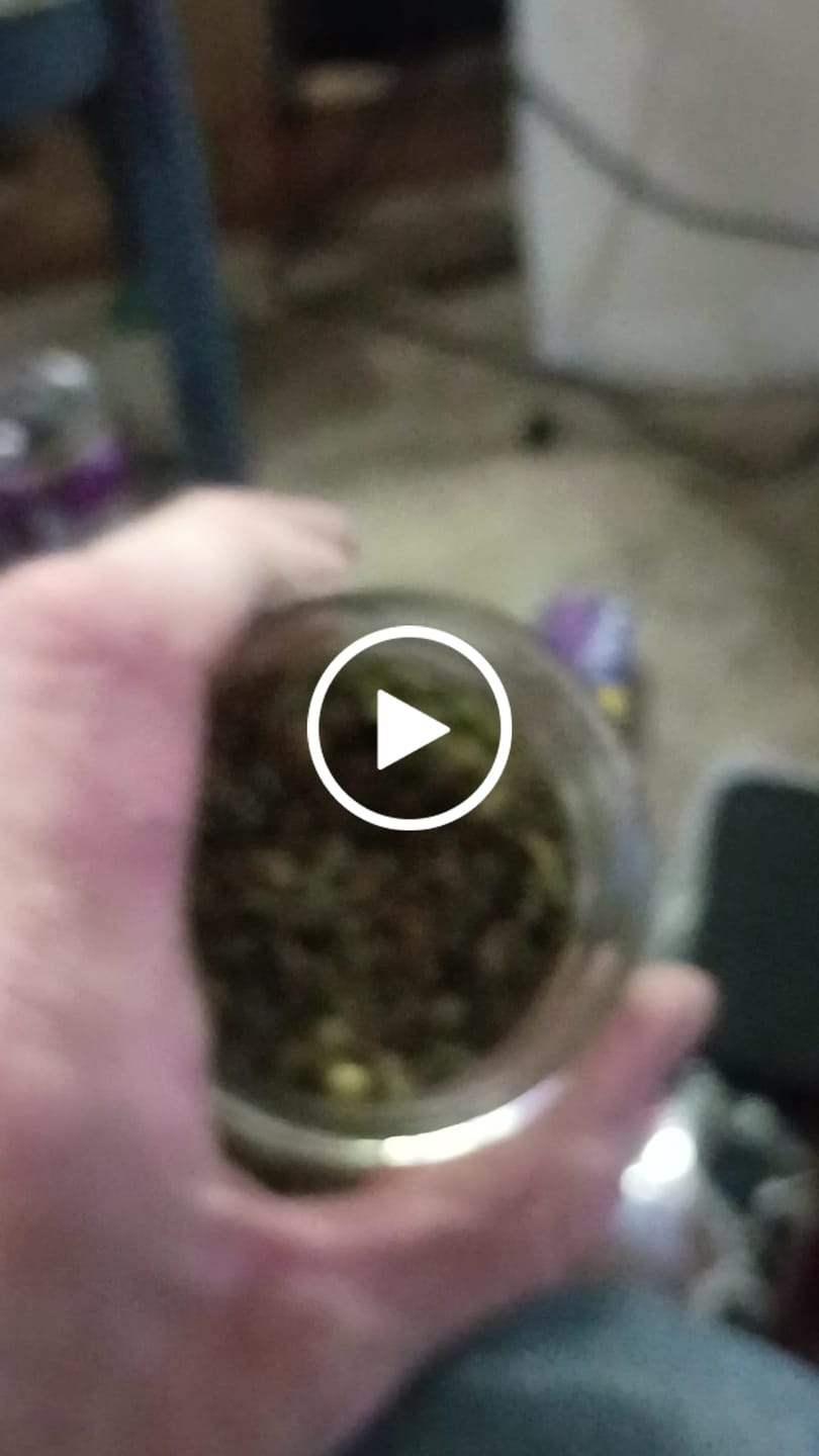Customer video review of (Buy 1 Get 2 Free) No6. Purple Cake THCa Shake