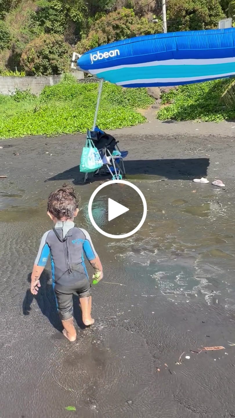 Customer video review of ShadeSock™ - Wind-Inflating, Silent Beach Shade