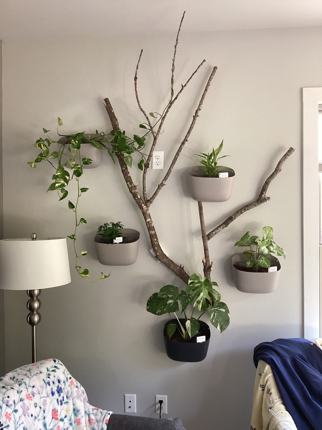 Customer photo review of Eco Stone Wall Planter