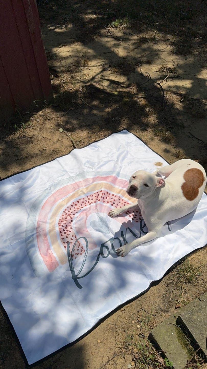 Customer photo review of Personalized Water Repellent Picnic Blanket - Made in USA (59"x50")