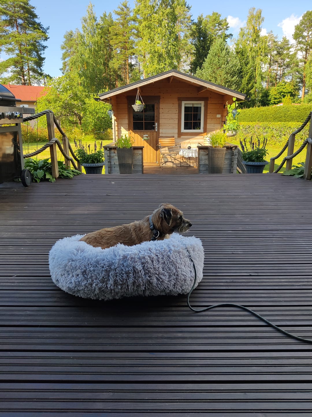 Customer photo review of CalmBed – Ehkäisee stressiä ja lievittää ahdistusta