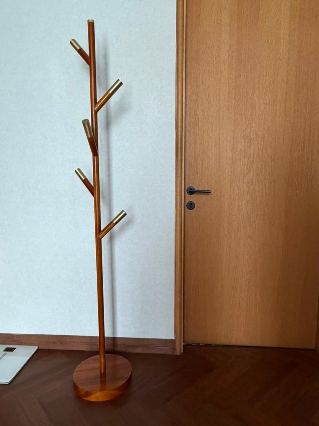 Customer photo review of Minimalist Teak Coat Rack – Branch Design