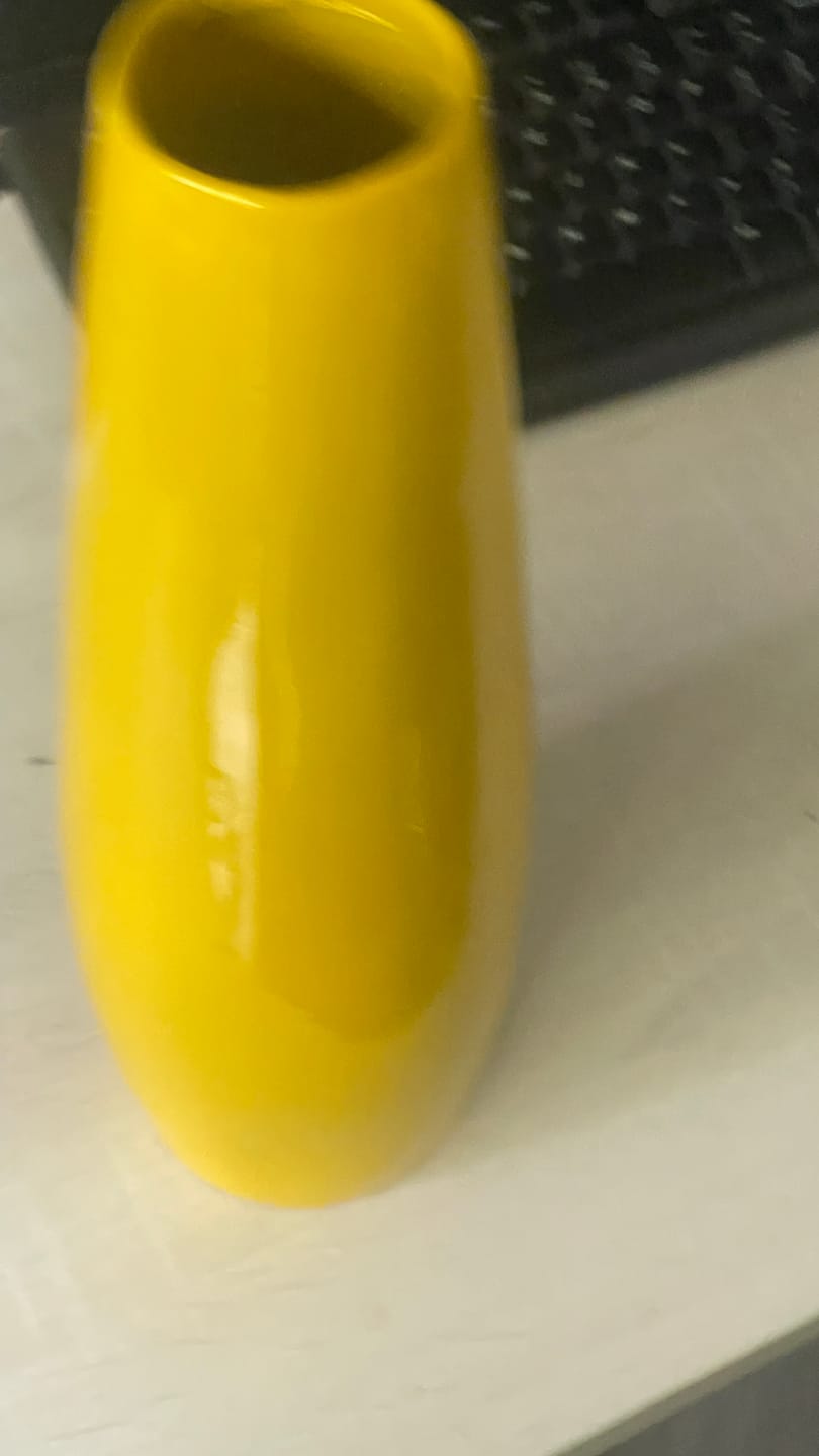 Customer photo review of Yellow Resin Vase Sculpture Vastu Remedy for Financial Stability, and Expenditure Control for SSW Direction Placement in Home, Office and Living Spaces | 8 x 37 cm | 600 gm