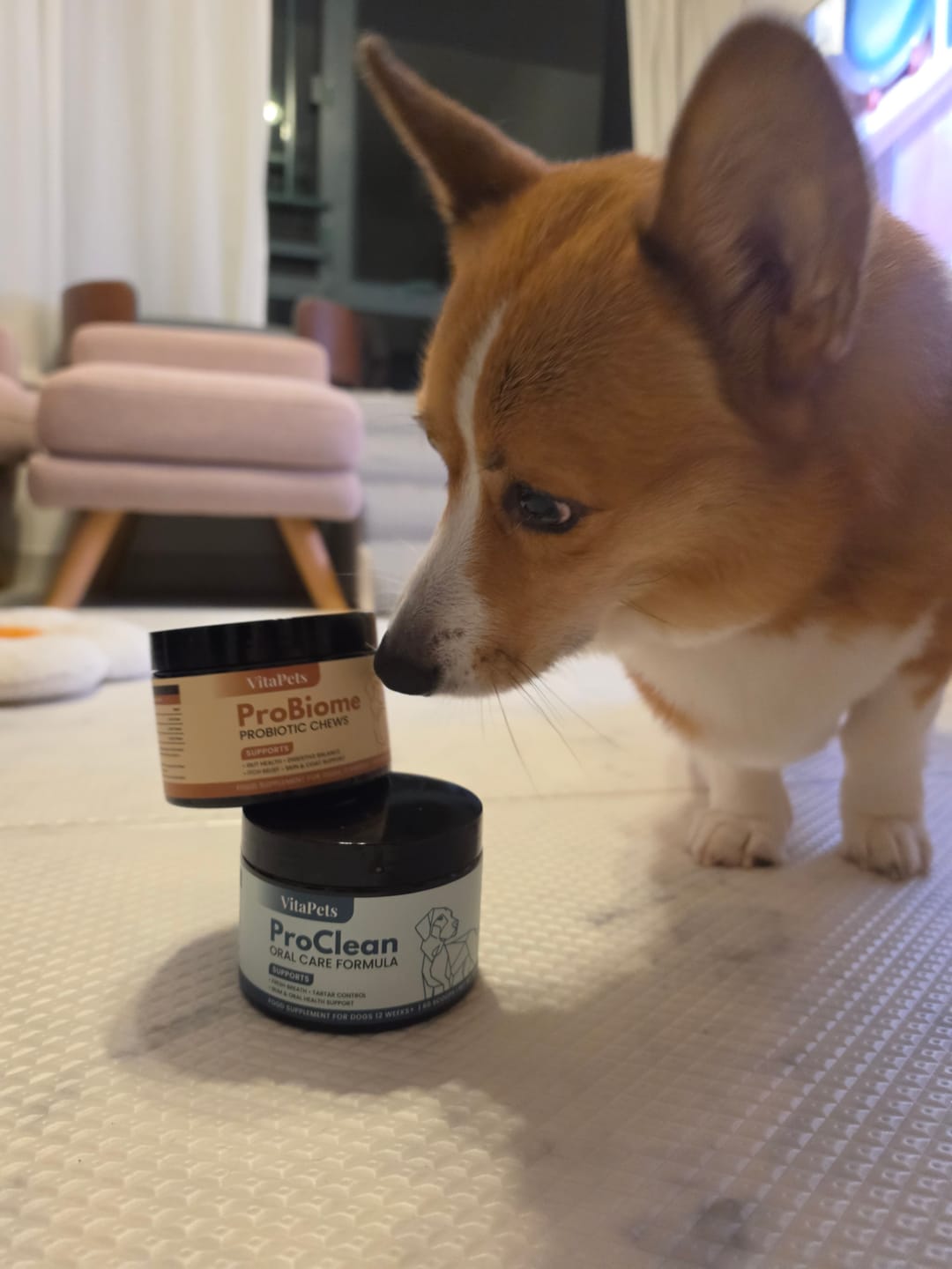 Customer photo review of ProBiome™狗狗益生菌軟粒