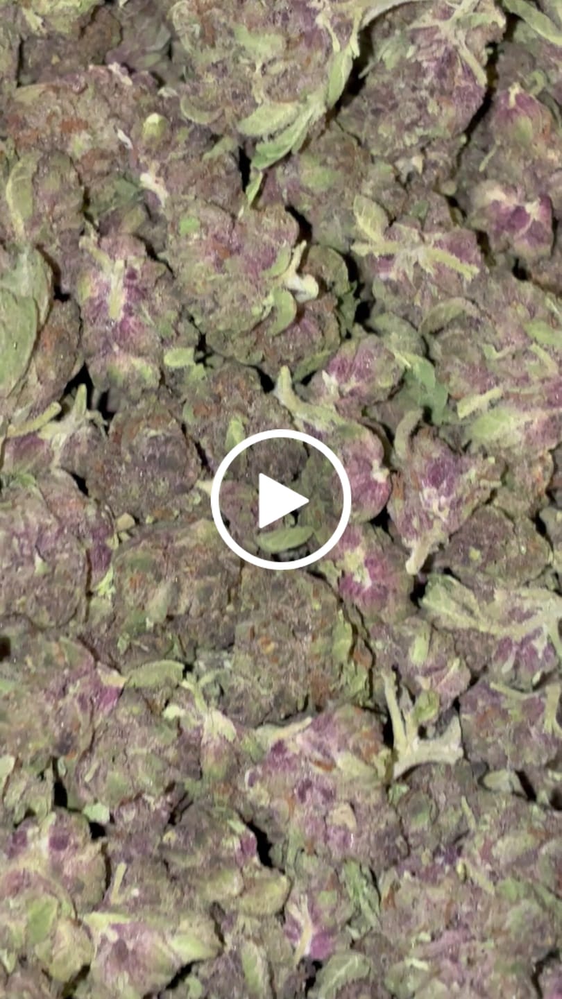 Customer video review of Tropicana Cherry THCA Smalls