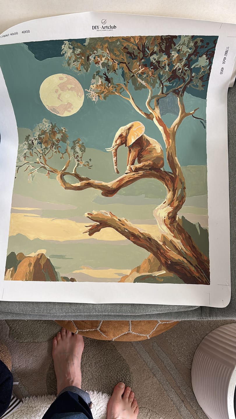 Customer photo review of Dreaming Elephant | Paint by Number
