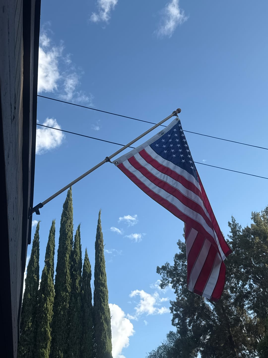 Customer photo review of 3' x 5' American Flag Set