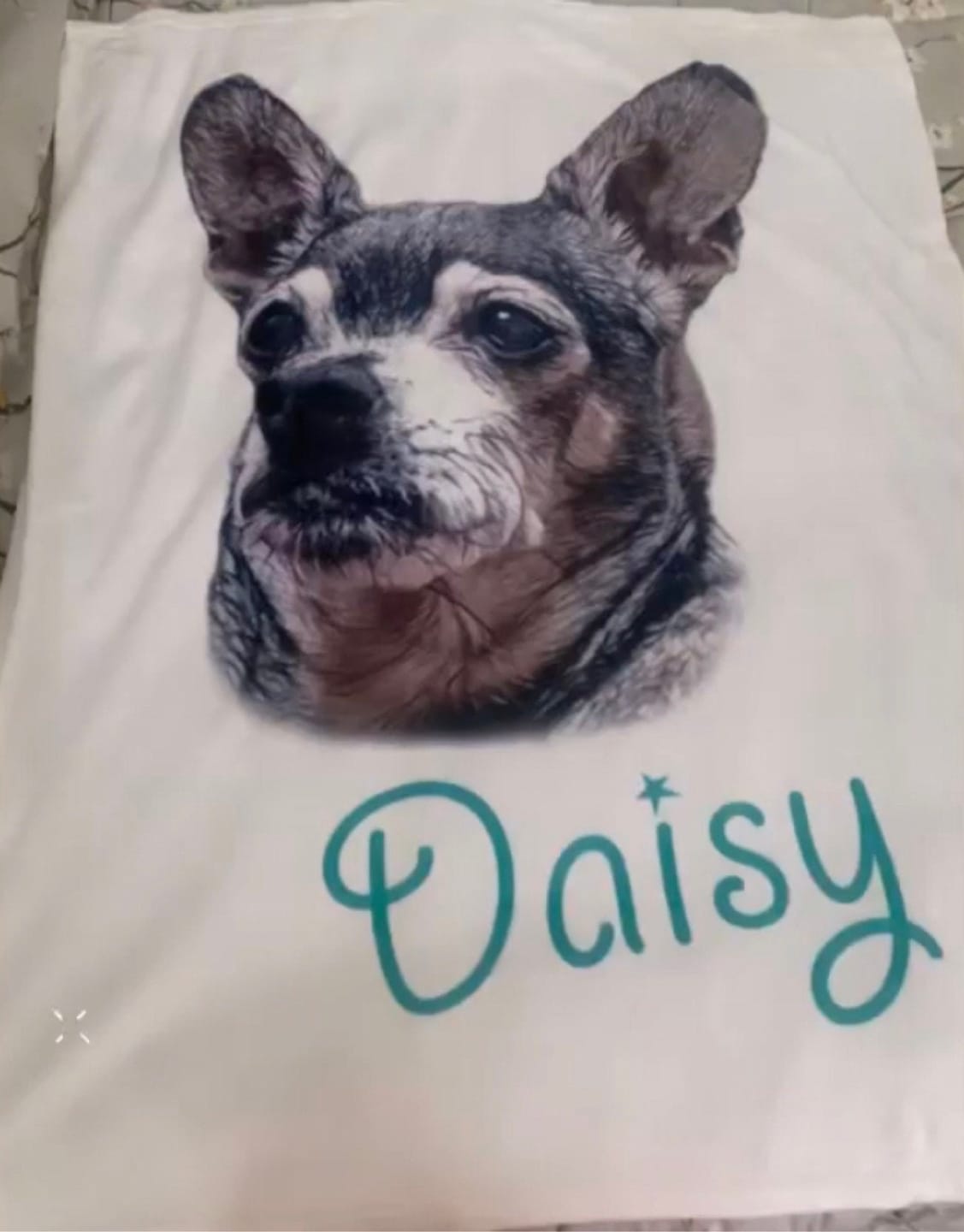 Customer photo review of Custom Pet Portrait Blanket: Personalized Dog or Cat Photo Blanket