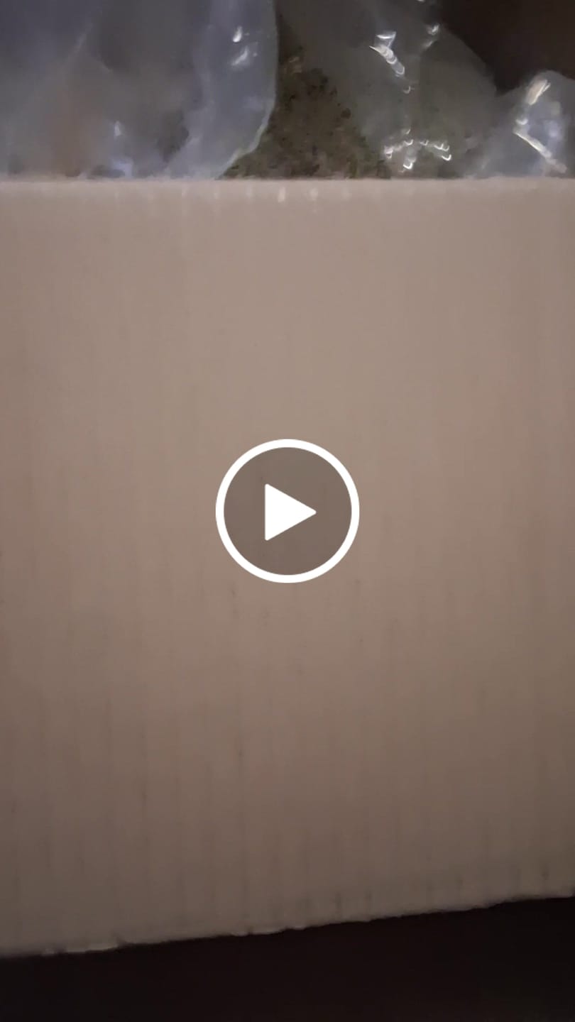 Customer video review of Damiana Leaf