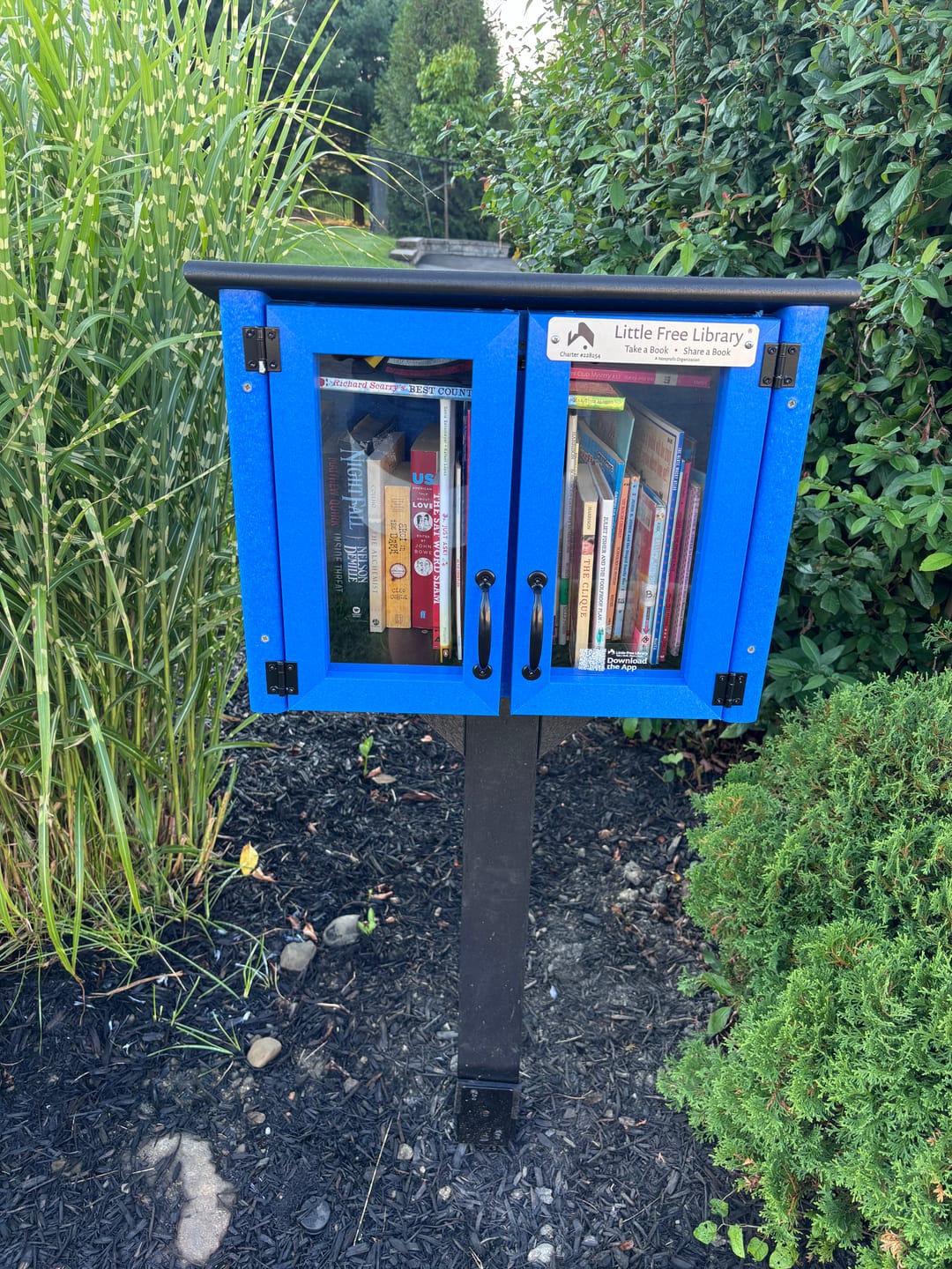Customer photo review of Composite Screw In Library Post and Topper Black