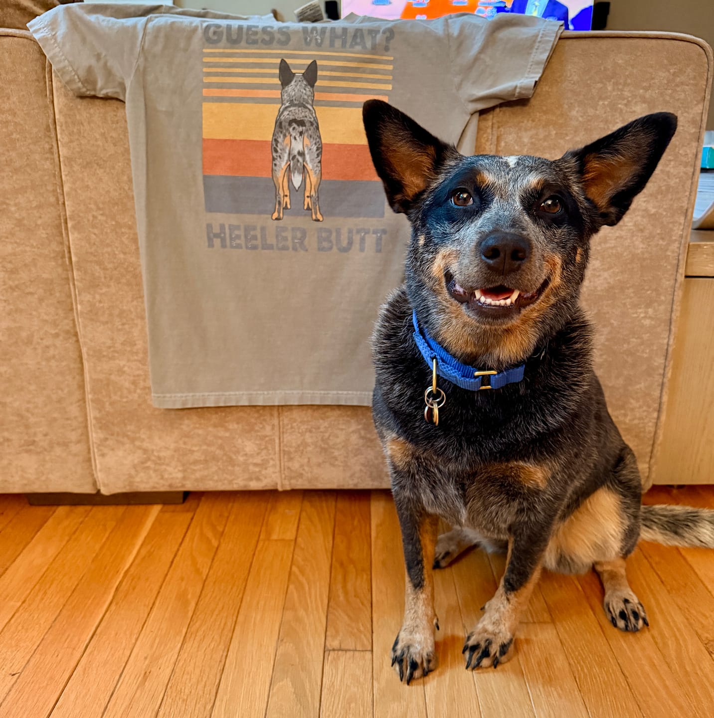 Customer photo review of Blue Heeler Butt Premium Tee