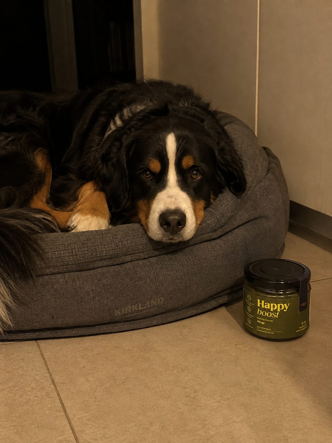 Customer photo review of Happy Boost I  Vitaminas para perro y gato con Algas y Miel de Abeja.