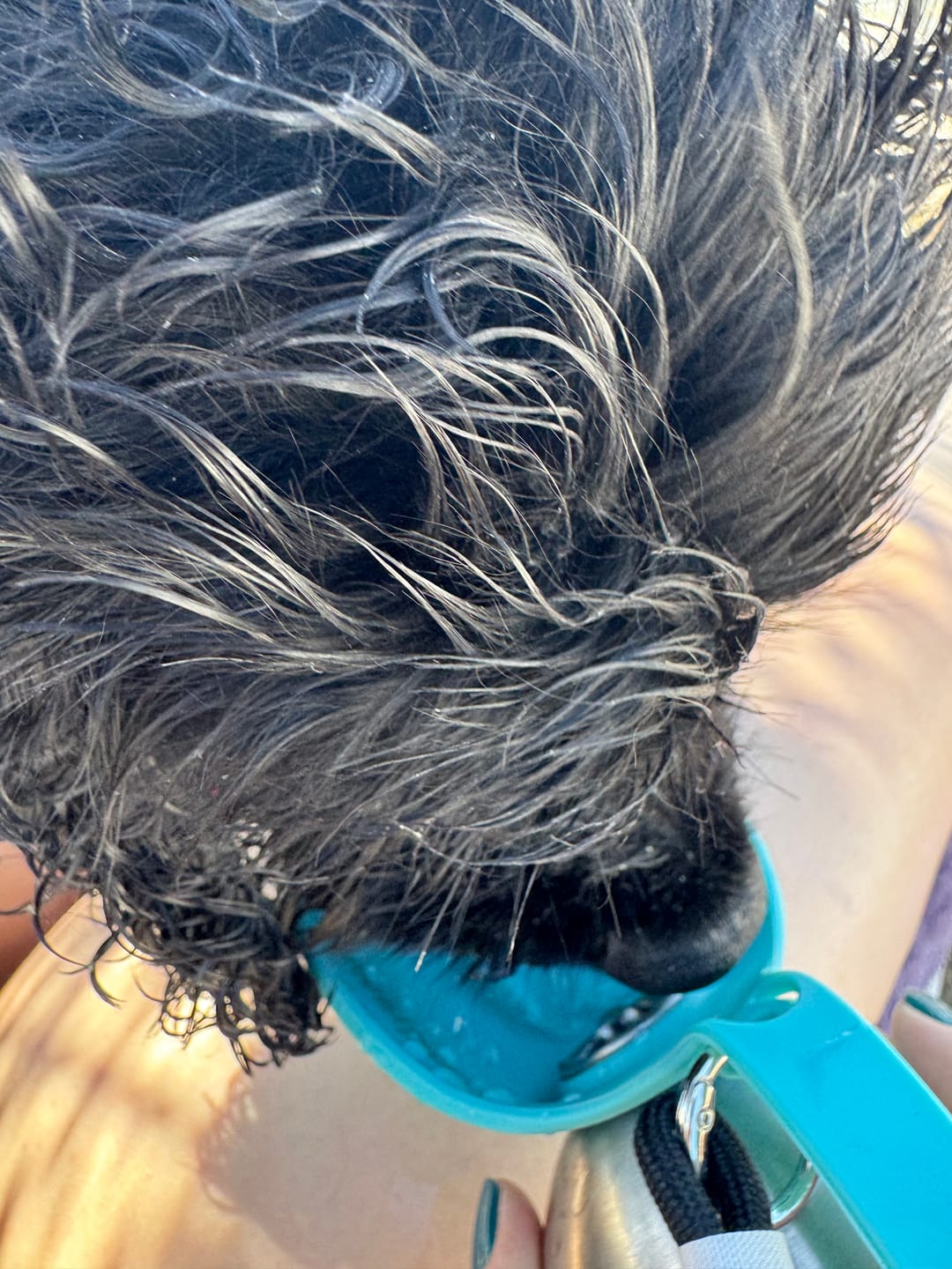 Customer photo review of Pawsipe™ 2'si 1 Arada Matara