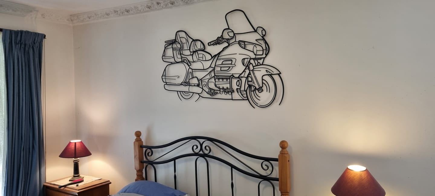 Customer photo review of Your Custom Bike Silhouette Metal Wall Art Service