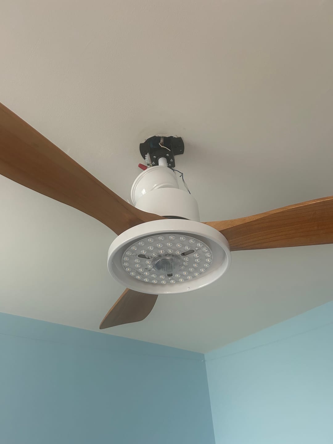 Customer photo review of WOMO Scandi Reversible Ceiling Fan with Light-WM5002