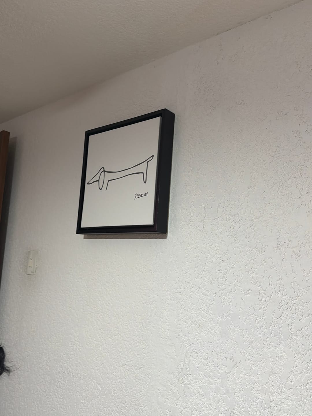 Customer photo review of El Dachshund