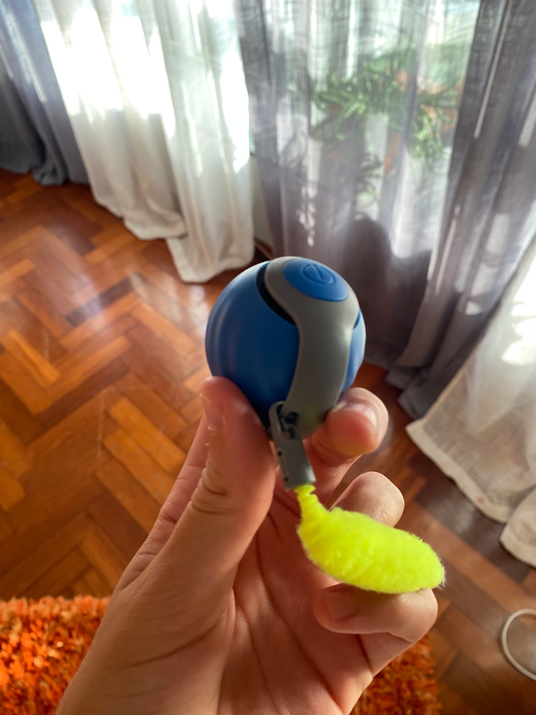 Customer photo review of Pelota interactiva para gatos