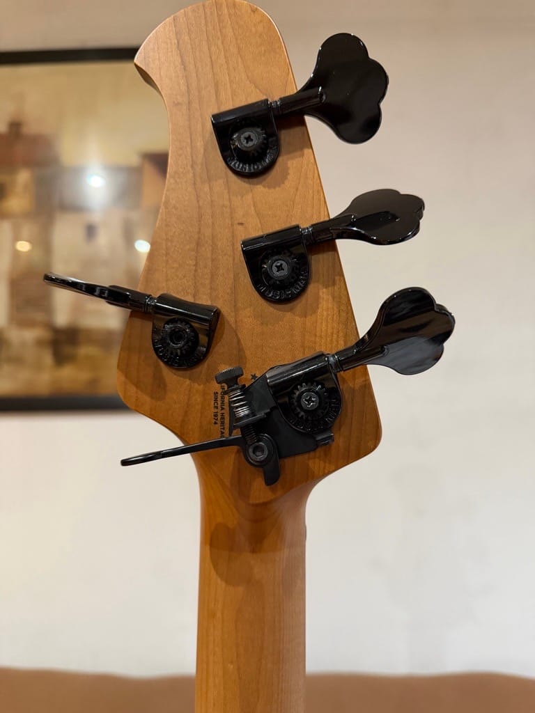 Customer photo review of BT13 Bass Xtender™