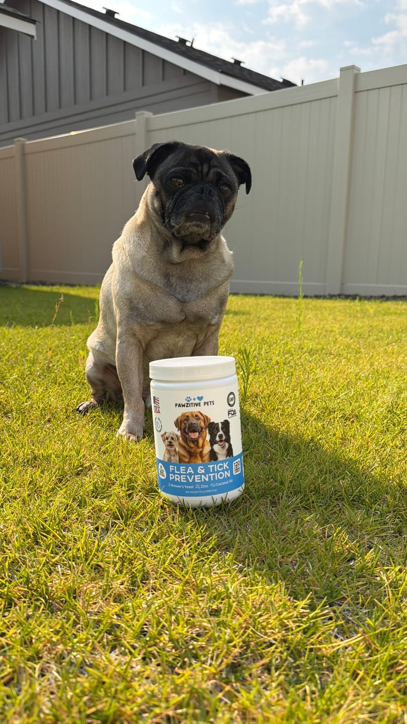 Customer photo review of Flea and Tick Prevention for Dogs – 120 Soft Chews
