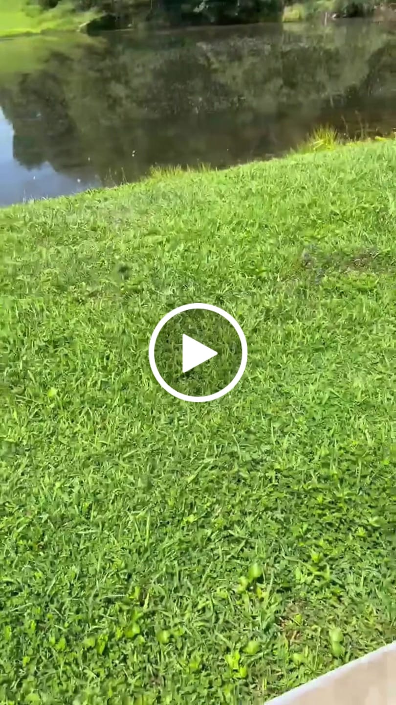 Customer video review of Tasaca® T500 Electric Mini Dirt Bike For Teens & Adults