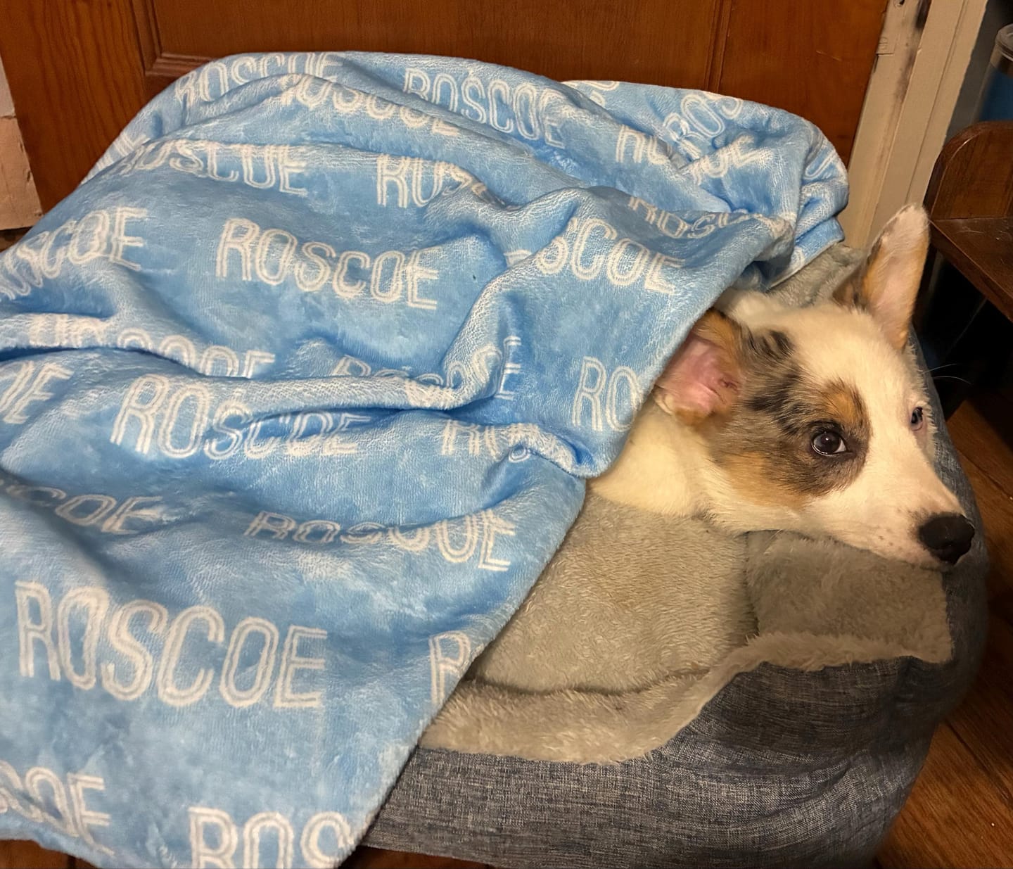 Customer photo review of Personalized Checker Design Blanket – Custom Minky or Sherpa