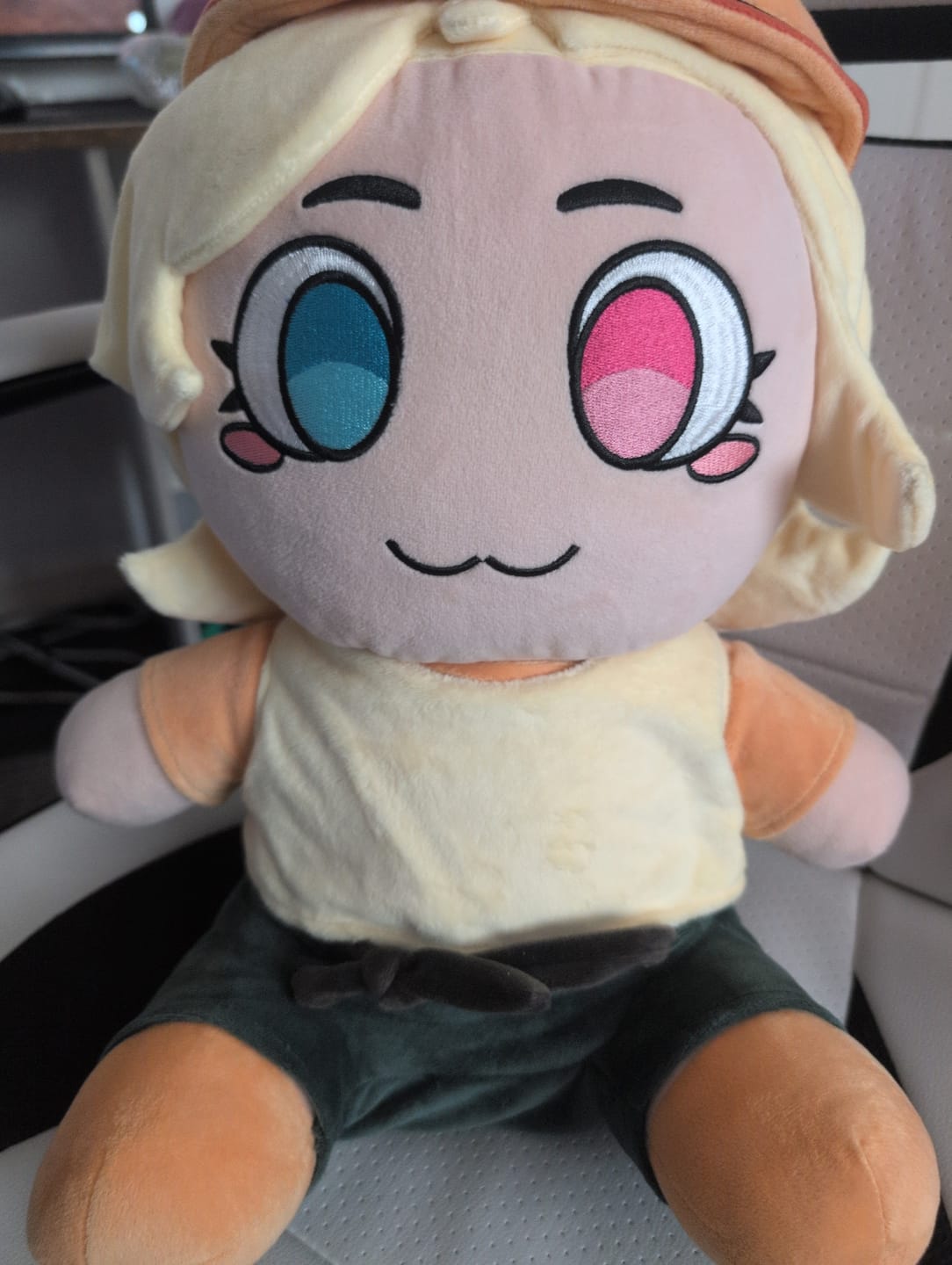 Customer photo review of Original Character (OC) Design Plush