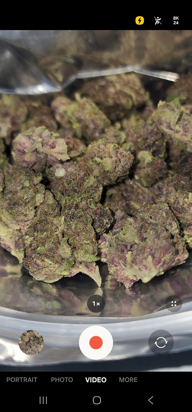 Customer photo review of Tropicana Cherry THCA Flower