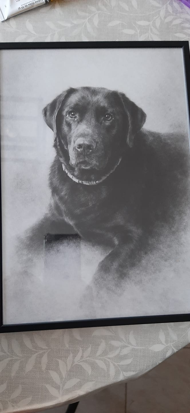Customer photo review of Charcoal - Poster personnalisé