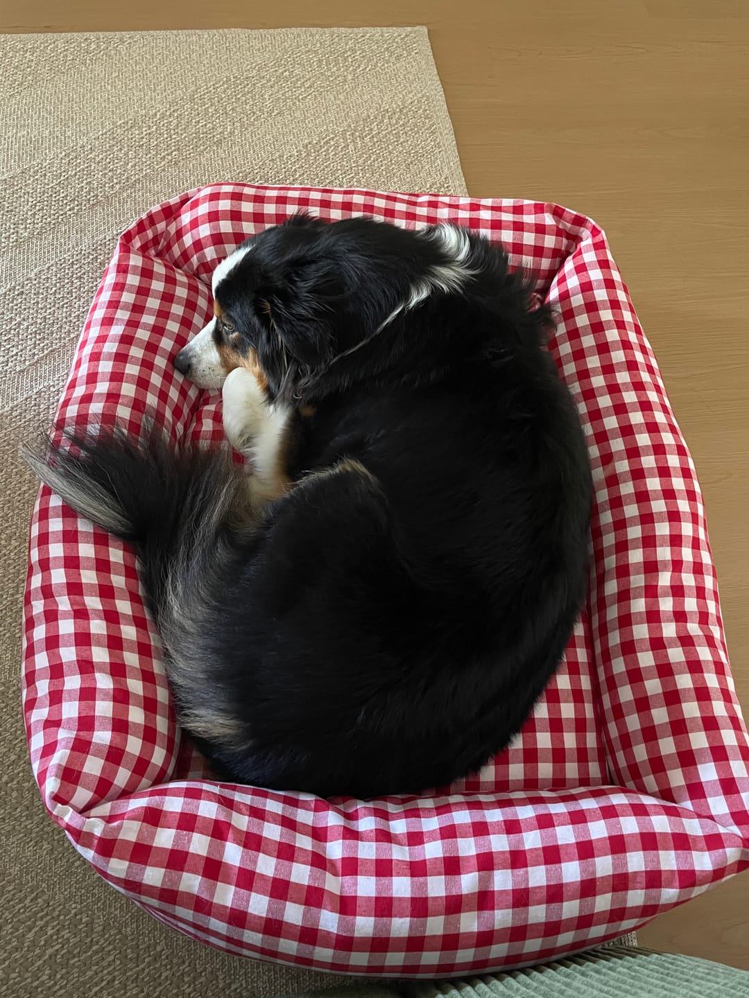 Customer photo review of Divanetto Cotone Quadretto Rosso
