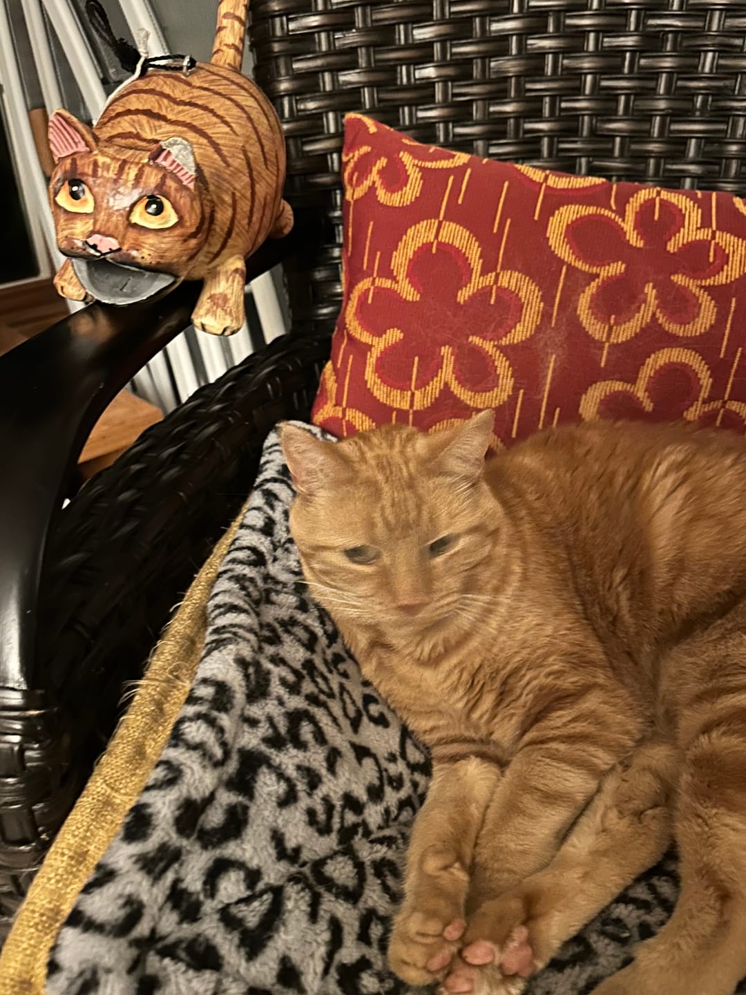 Customer photo review of Orange Tabby Fat Cat Wood Birdhouse