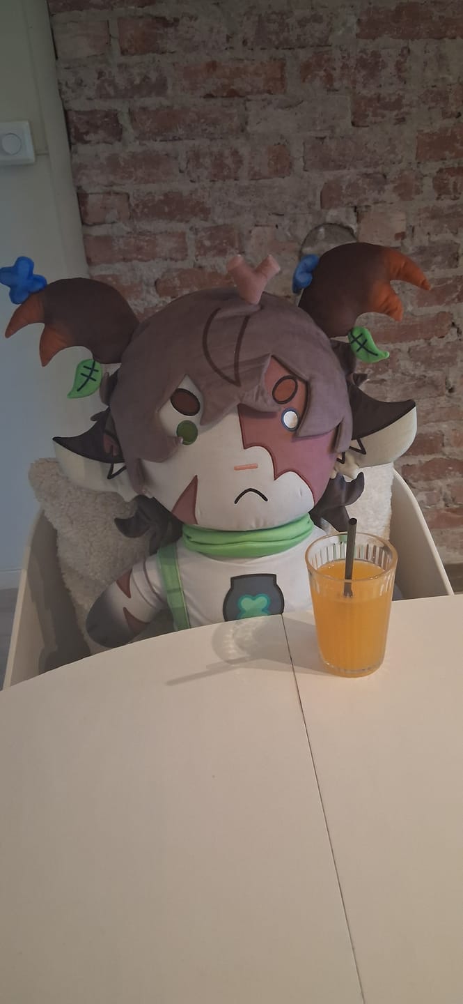 Customer photo review of Original Character (OC) Design Plush