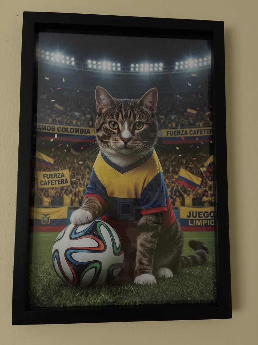 Customer photo review of World Cup - Personalized Poster