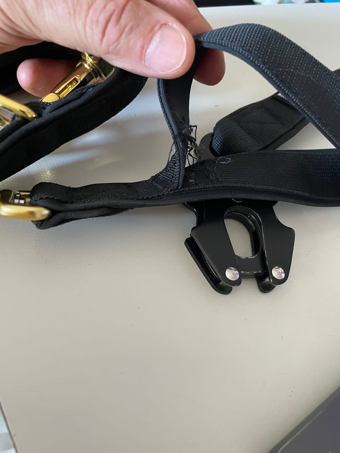 Customer photo review of Guinzaglio Sniper Multifunzione