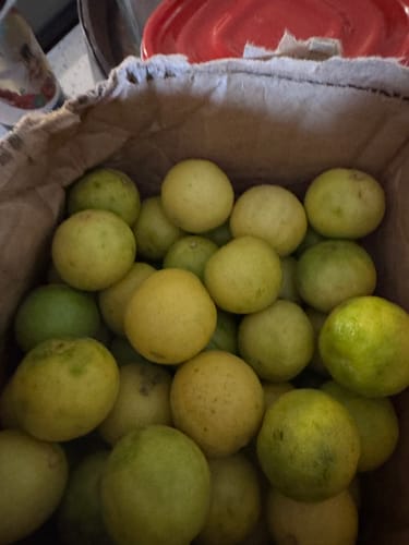 Customer photo review of Organic Key Limes 3 lbs