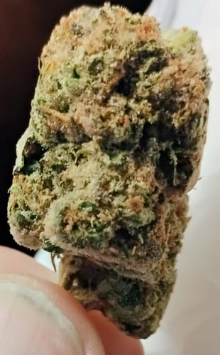 Bubble Yum - 4 Gramm - Indica photo review