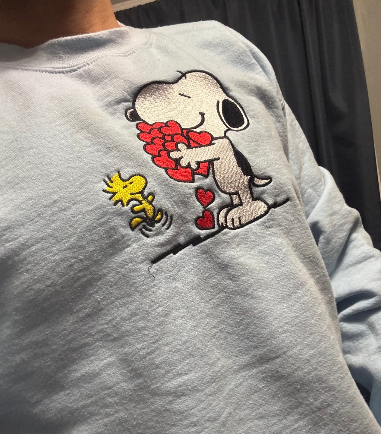 Customer photo review of Custom Embroidered Cartoon Dog Hearts Hoodie - Matching Valentine Sweatshirt for Couples